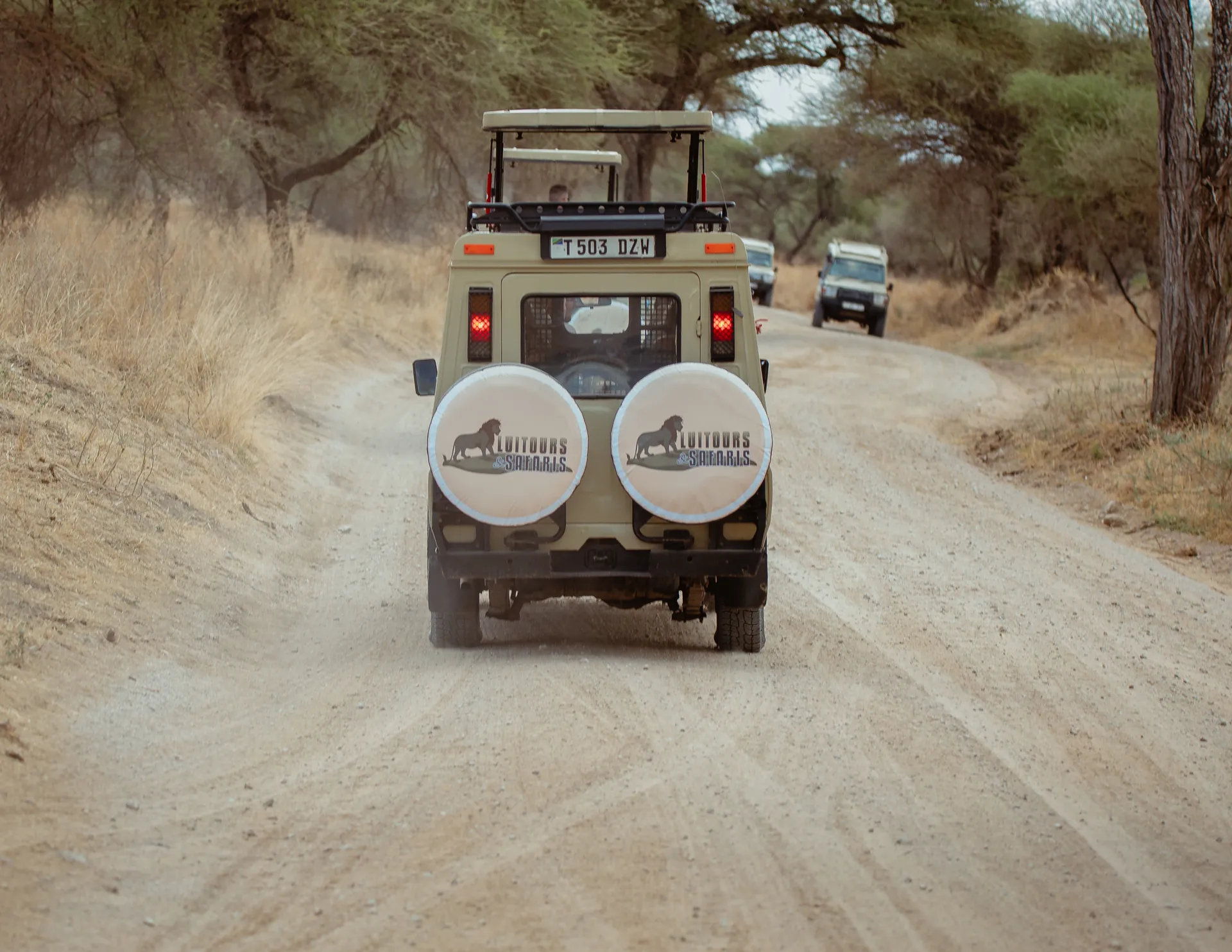 Safari vehicle travelling through a Tanzania wildlife area